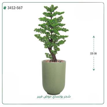 صورة مصغرة 2