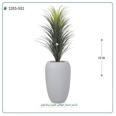صورة مصغرة 2