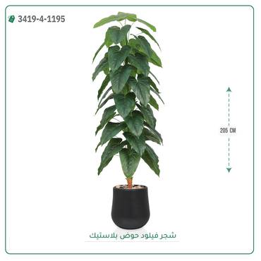 صورة مصغرة 4