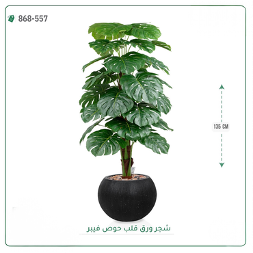 صورة مصغرة 4