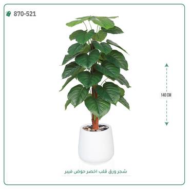 صورة مصغرة 6