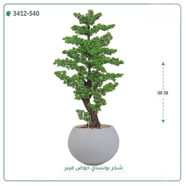 صورة مصغرة 5