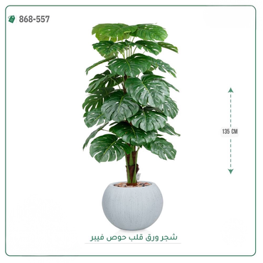 صورة مصغرة 1