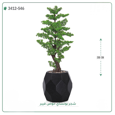 صورة مصغرة 1