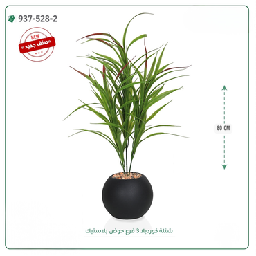 صورة مصغرة 4