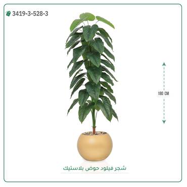 صورة مصغرة 4
