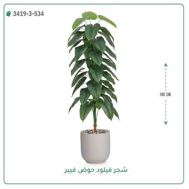 صورة مصغرة 4