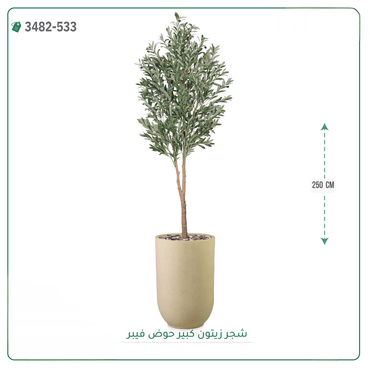 صورة مصغرة 6