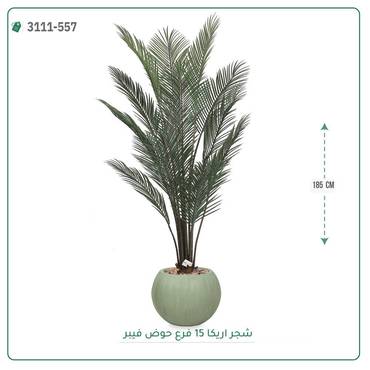 صورة مصغرة 1