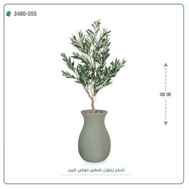 صورة مصغرة 1