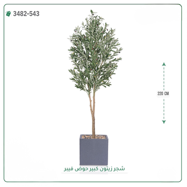 صورة مصغرة 6