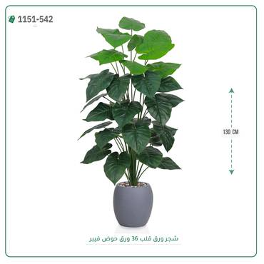 صورة مصغرة 2