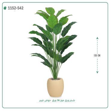 صورة مصغرة 5