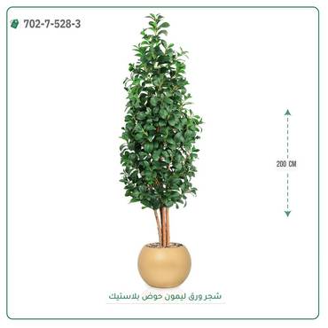 صورة مصغرة 1