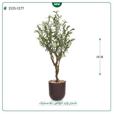 صورة مصغرة 5