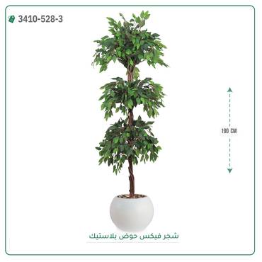 صورة مصغرة 6