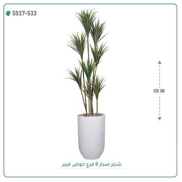 صورة مصغرة 6