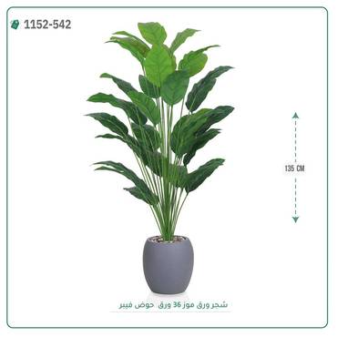 صورة مصغرة 1