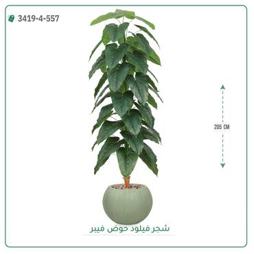 صورة مصغرة 5