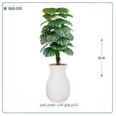 صورة مصغرة 6