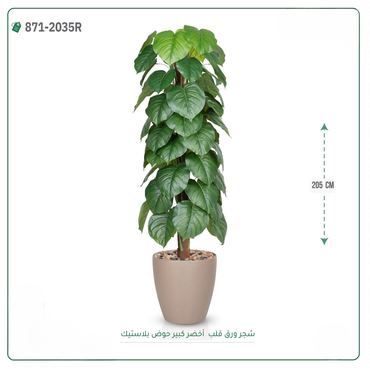 صورة مصغرة 5