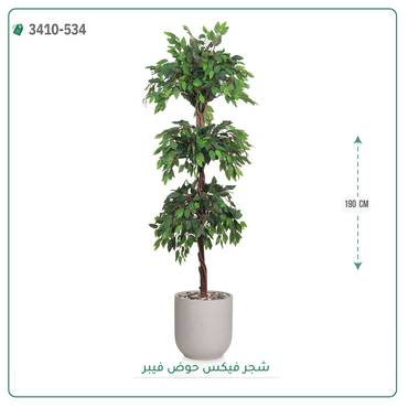 صورة مصغرة 2