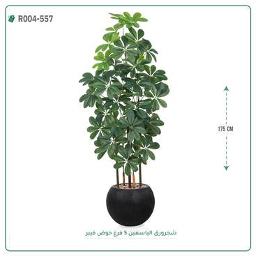 صورة مصغرة 3