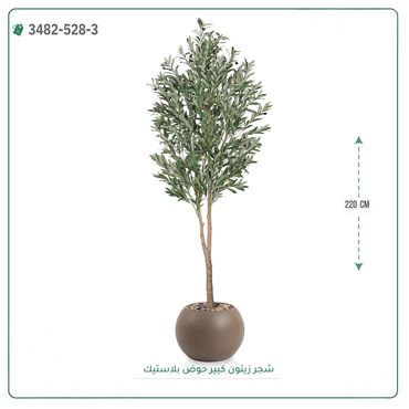 صورة مصغرة 7