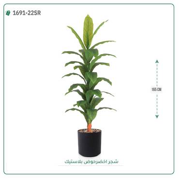 صورة مصغرة 3