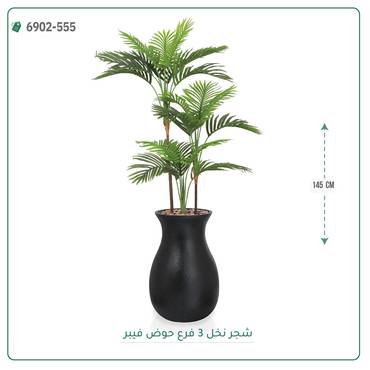 صورة مصغرة 2