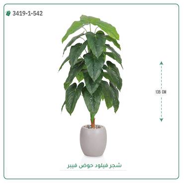 صورة مصغرة 5