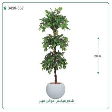 صورة مصغرة 6