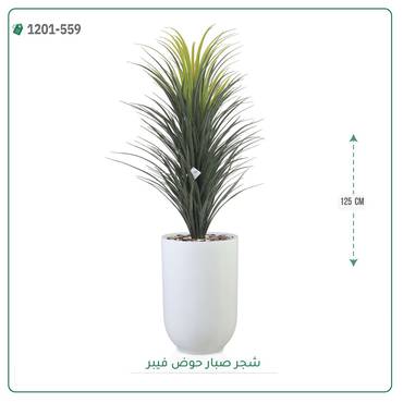 صورة مصغرة 6