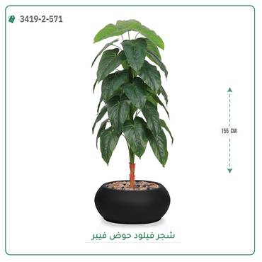 صورة مصغرة 4