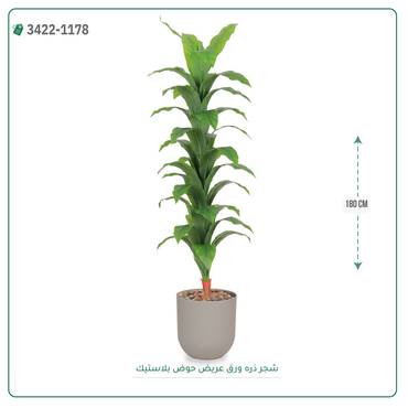 صورة مصغرة 4
