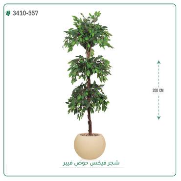 صورة مصغرة 5