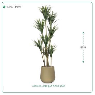 صورة مصغرة 3