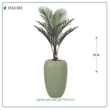 صورة مصغرة 7