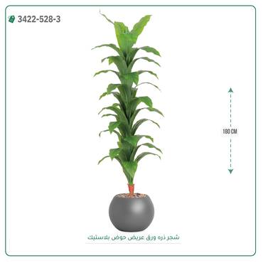 صورة مصغرة 2