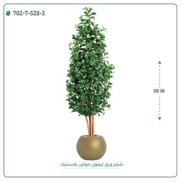 صورة مصغرة 7