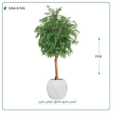 صورة مصغرة 12