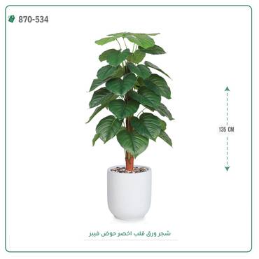 صورة مصغرة 7