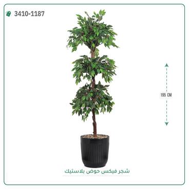 صورة مصغرة 5