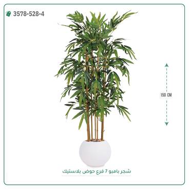 صورة مصغرة 6