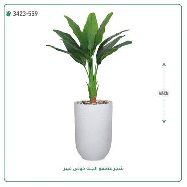 صورة مصغرة 6