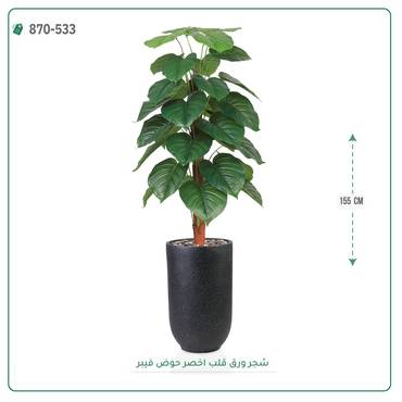 صورة مصغرة 4