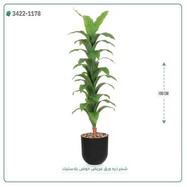 صورة مصغرة 6