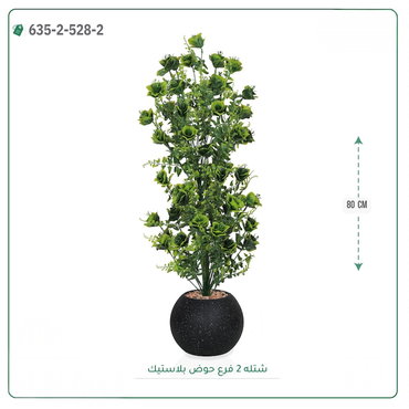 صورة مصغرة 5