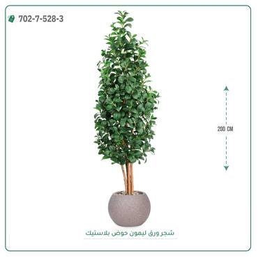 صورة مصغرة 4