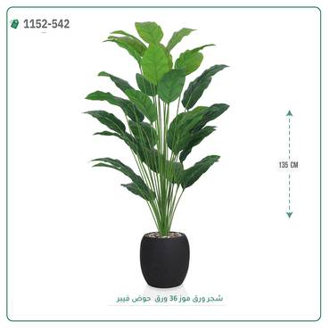 صورة مصغرة 7
